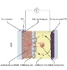 Researchers to Develop More-Efficient Dye-Sensitized Solar Cells Using Carbon Nanotubes