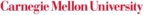 Carnegie Mellon Develops Nanostructural Polymer-Based Treatment for Amputation Complications