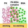 Enzymes Used to Etch Nanoscale Surface Structures