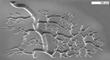 Nanoengineers Develop Technology to Fabricate 3D Microstructures within Seconds
