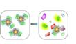 Gold Nanoparticles with Green Fluorescent Protein Rapidly Detects Different Types of Cancer