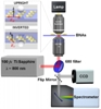 Researchers Use Low-Power Optical Nanotweezers in Biological Studies