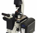 Bruker's New Nanomechanics Package Provides AFM Tools for Life Science Research
