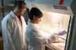 Researchers Employ Nanoparticles to Enhance Drug Efficacy