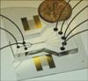 Researchers Create Acoustic Cell-Sorting Chip Using Silicone Polydimethylsiloxane Layer