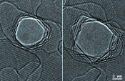 Researchers Control Graphene Nanopore Properties for Sequencing Human DNA