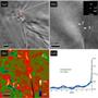 Chinese Researchers Study Nano-Scale Deformation of Crack Tip