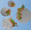 New Nanoparticle Shape Control Method Helps Advance Gene Therapy