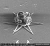 Scientists Create Complex 3-D Structures by Combining Ion Processing and Nanolithography