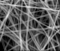 Seashell Technology Expands Range of Silver Nanowire Products