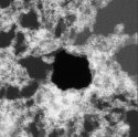 Graphene Nanopores Could Have Applications as Membranes for Advanced Filtration