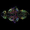 St. Jude Children's Research Hospital Photomicrograph Receives Top Honor in Nikon Small World Competition