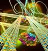 Researchers Design Smart Material Composed of DNA Nanotubes