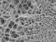 Study Shows Lung Mucus Prevents Drug Nanoparticles from Reaching their Target Destination