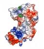 Researchers Employ X-ray Crystallography to Build 3-D Model of TB Protein