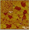 Study Results Provide Guidelines for Future Biomimicry Efforts and Nanosynthesis