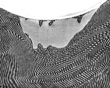 New Nanomaterial Study Paves Way to Develop Better Armor