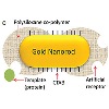New Gold Nanorod-Based Biosensor Shows Promise to Facilitate Kidney Disease Detection