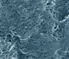 Single-Wall Carbon Nanotubes Show Promise to Prevent Oxidative Damage to DNA