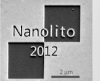 Nanolito 2012 Workshop Held in San Sebastian