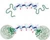 Nanostructured Gels for Drug Delivery and Tissue Engineering