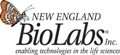 NEB Launches Low-Nanogram Input Kits to Prepare DNA and RNA Libraries