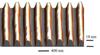 Nanoscale Topography May Help Advance High-Speed Graphene Electronics