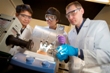 Researchers Produce Hydrogen from Water Using Light and Nanomaterials