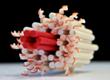DNA Nanotechnology Helps Construct Synthetic Membrane Channels