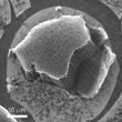 Innovative Graphene/Nanotube Hybrid Material for Energy Storage and Electronics Applications