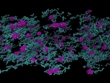 Study Results Help Produce Better Bio-Inspired Materials
