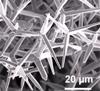 Nanocrystals Detect Internal Damages of Composite Materials