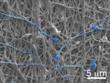 Innovative Fabric Made of Nanofibers Offers Contraception and HIV Protection