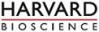 Nanofiber Synthetic Scaffolds Used in Successful Laryngotracheal Implants
