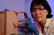 Novel Nanotechnology Holds Hope for Treatment of Pediatric Leukemia