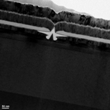 Indium Gallium Arsenide Compound Transistor Challenges Silicon’s Crown
