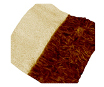 Bruker to Host Webinar on Soft Matter Characterisation with AFM