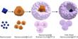 Researchers Develop Nanostructure that Regulates Chemical Reactions