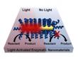 New Process to Remotely Activate Biochemical Reactions Using Nanotechnology