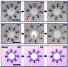 Innovative Microactuator Shows Promise for Drug Delivery, Microfluidics and Artificial Muscles