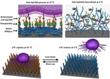 Novel Nano-Platform Capable of Capturing and Preserving Circulating Cancer Cells