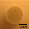Carbon-Nanotube-Coated Ultrasound Acts as Invisible Knife for Noninvasive Surgery