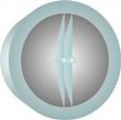 Innovative Dual-Core Nanomechanical Optical Fibers Help Improve Data Processing and Sensing