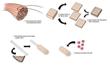 Novel Method for Fabricating Nanostructured Collagen Constructs