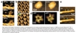 High-Speed Atomic Force Microscopy Movies Help Understand Protein Systems