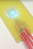 Fireflies Inspire Efficient LEDs