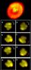 Researchers Design Multi-Component Nano Molecular Motor