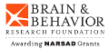 Nanotechnology, Robotics and Optogenetics to Improve Treatments for Mental Illness