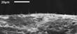 Carbon Nanofibers May Help Develop New Drug-Delivery Systems