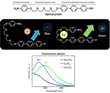 New Fluorescent Probe Detects Radioactive Substance Using Supermolecular Interaction